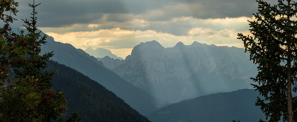 アトピーについて